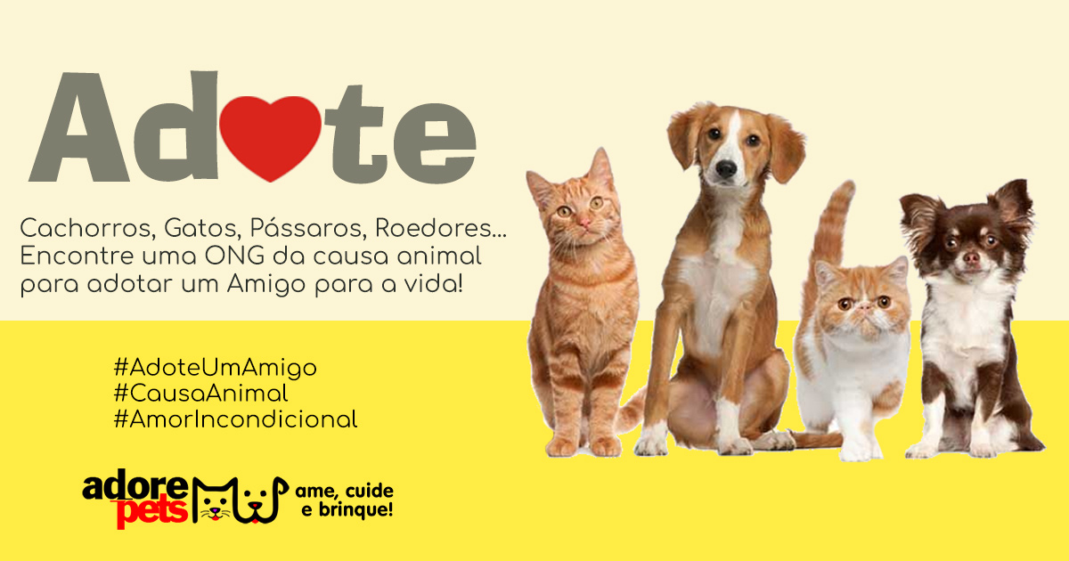 Adote um Pet e ganhe um amigo que vai encher sua vida de amor