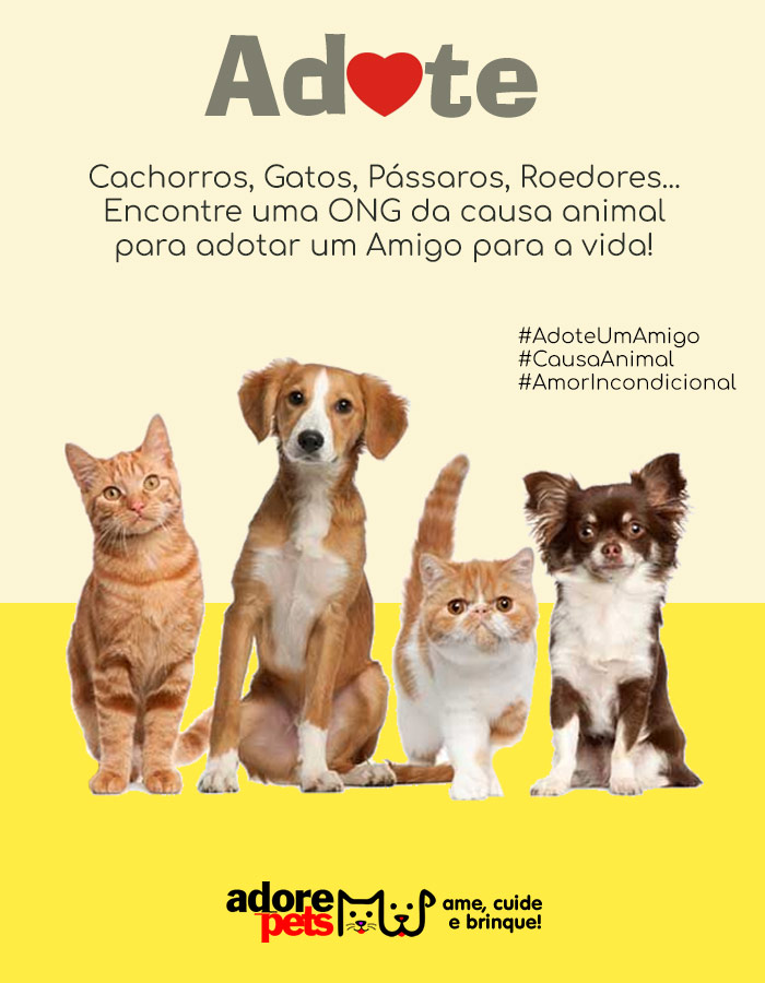 Adore Pets - Ame, cuide e brinque!