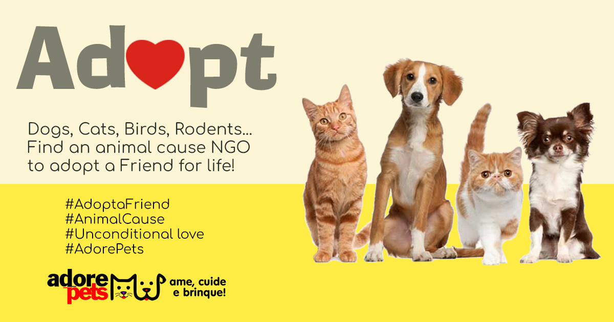 Adopt a Pet and gain a friend who will fill your life with love