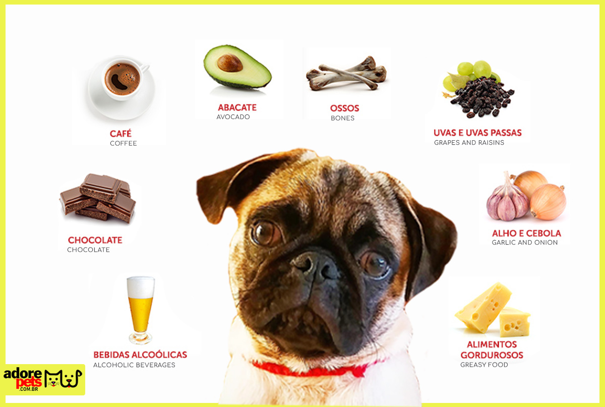 Know some forbidden foods to be given to dogs and cats