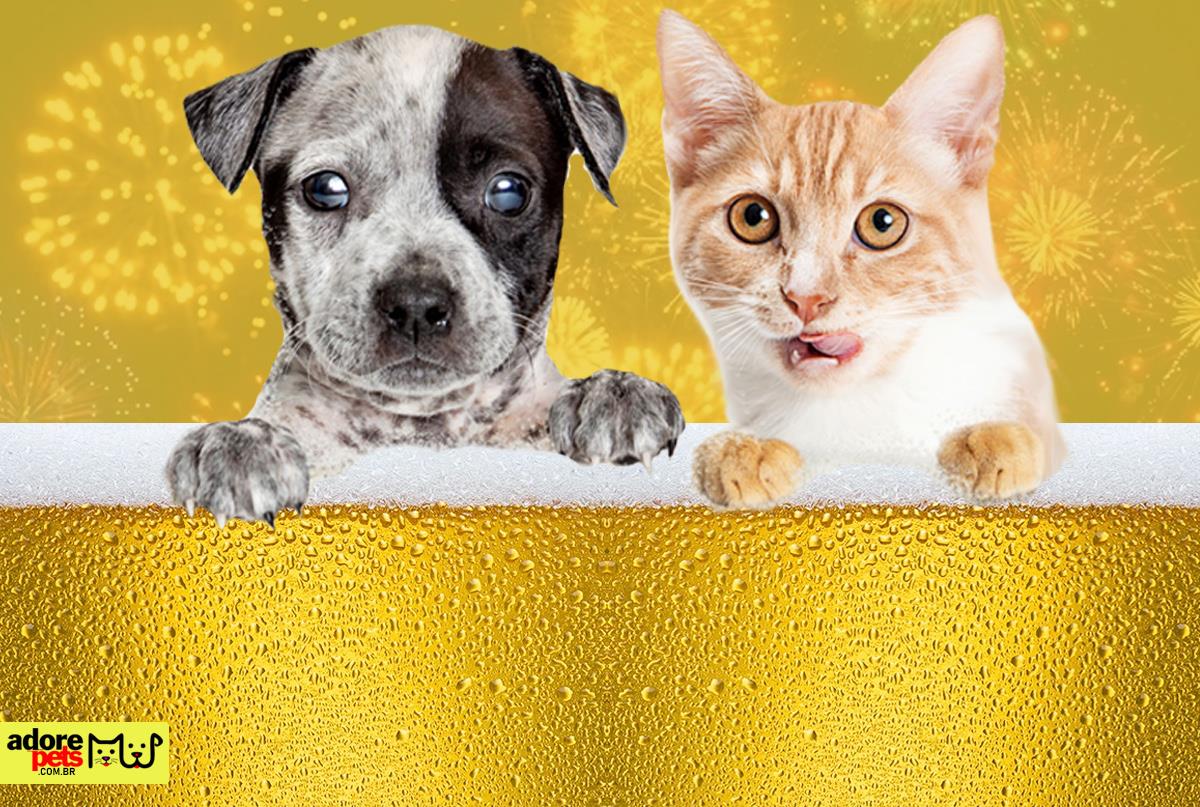 The dangers of alcoholic beverages for animals