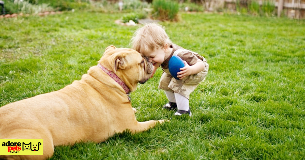 The importance of having a dog in children's lives