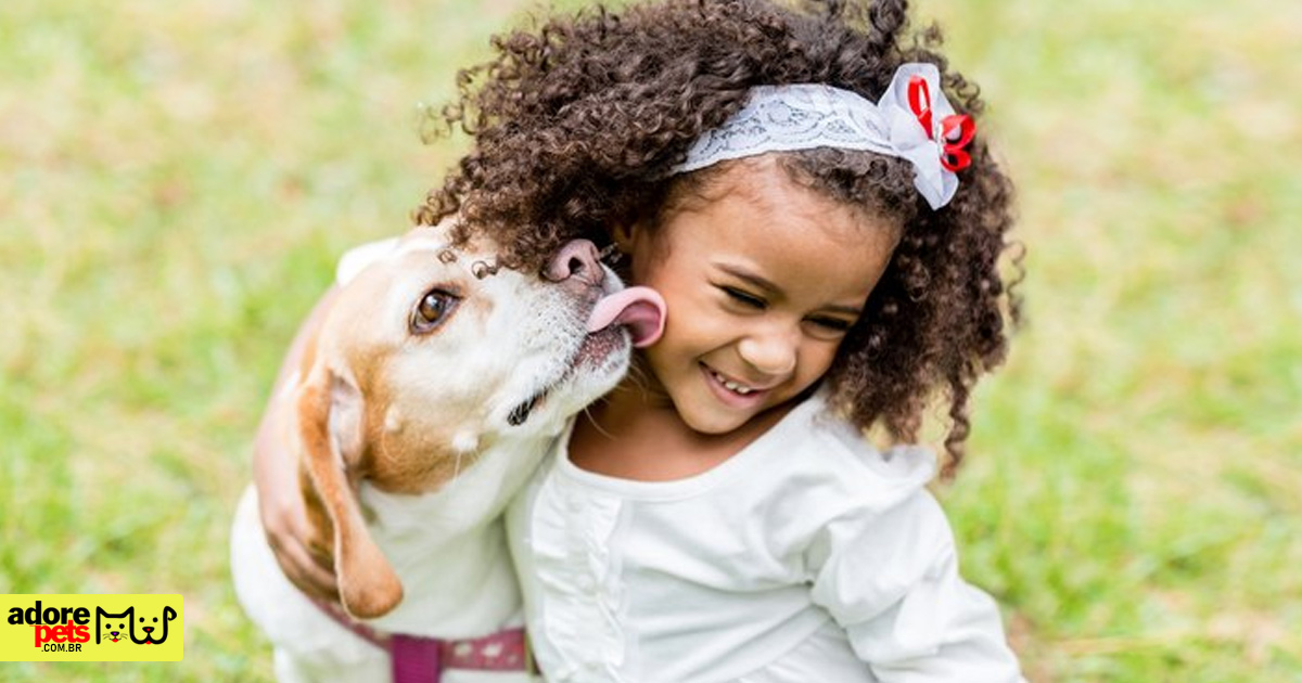 The Dog is the most common pet in Brazil, followed by Birds, Cats and Fish