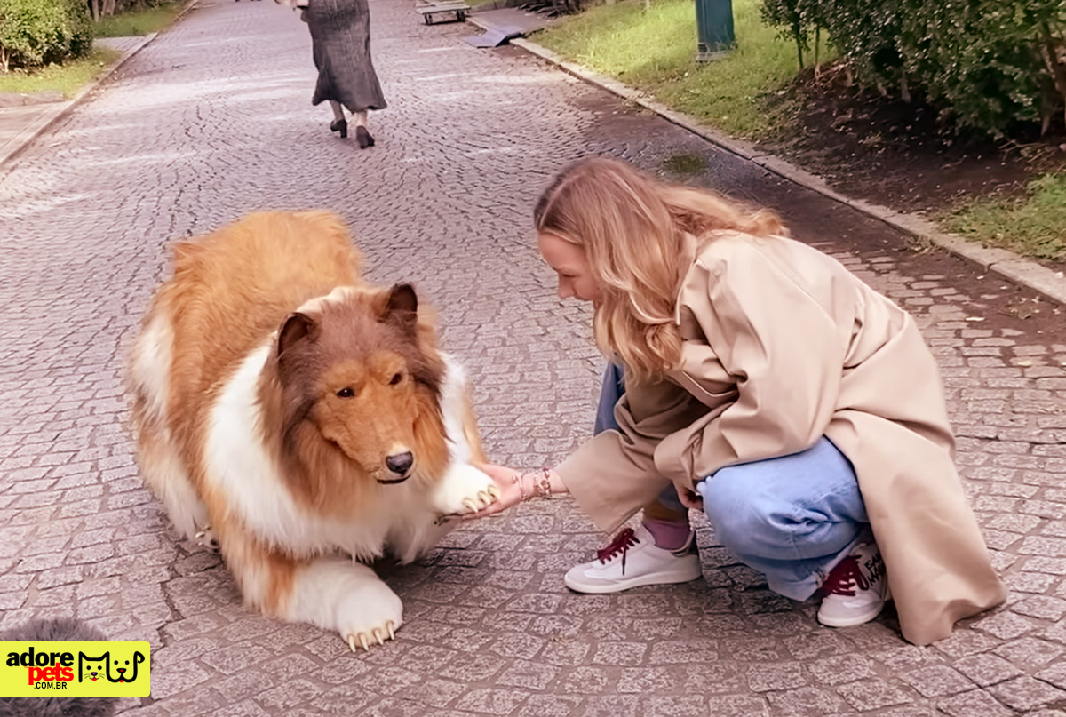 Man spends 2 million to transform into a Collie dog