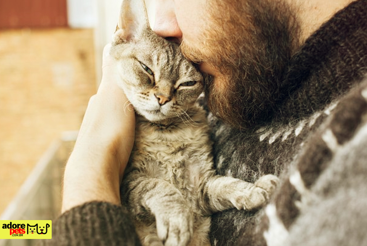 Saiba a importância de se ter um animal de estimação em casa