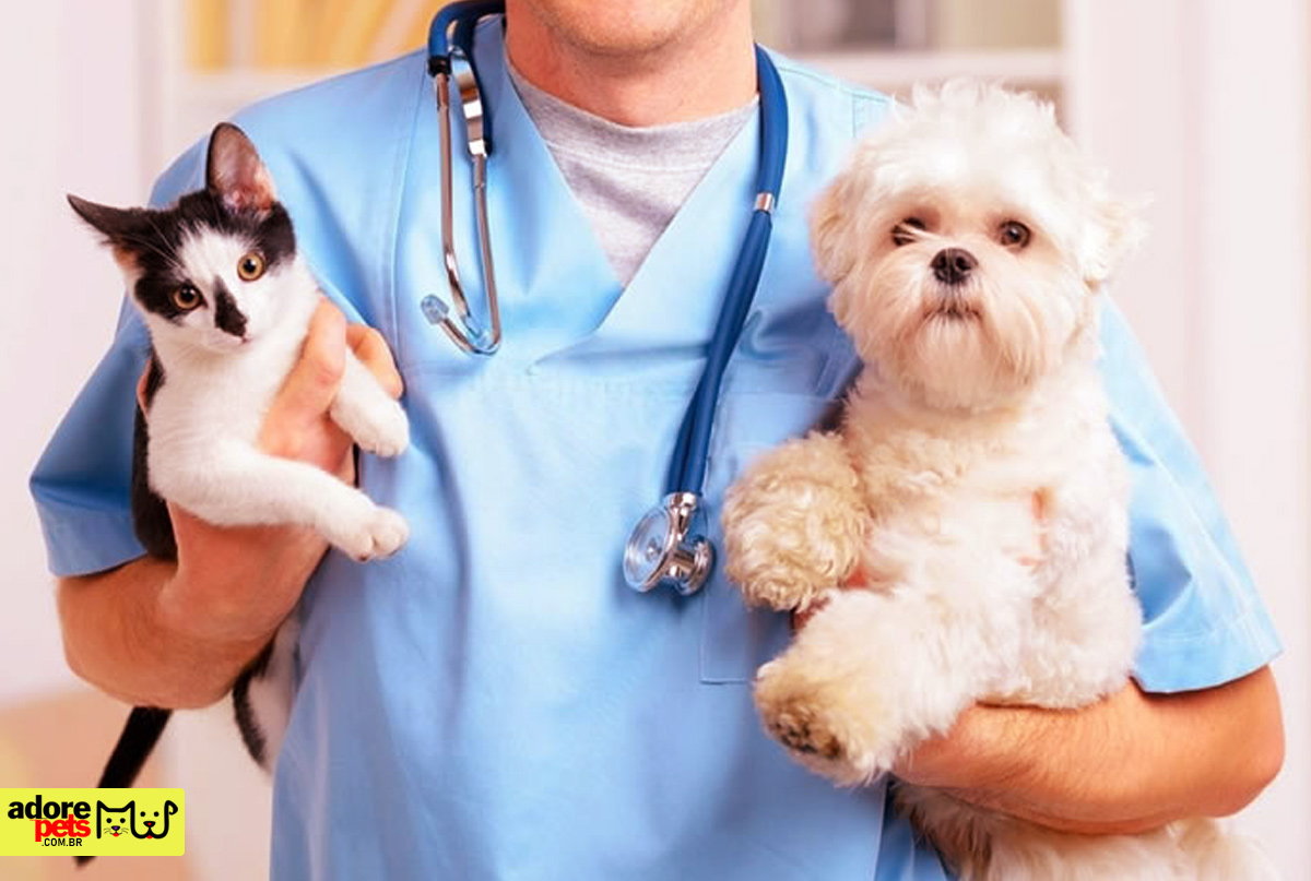 The fascinating story of the origin and evolution of veterinary medicine