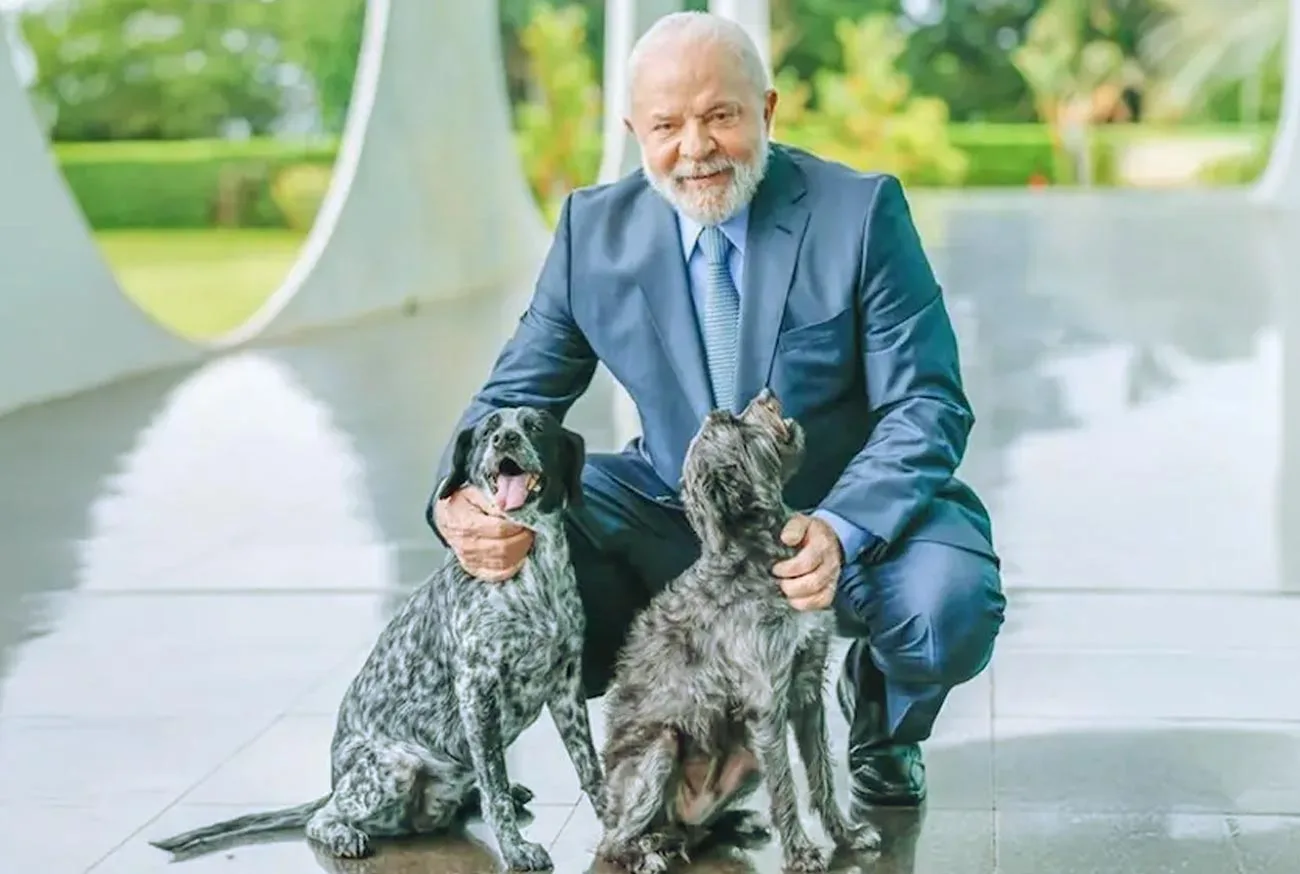 President Lula of Brazil enacts law establishing the National Registry of Domestic Animals