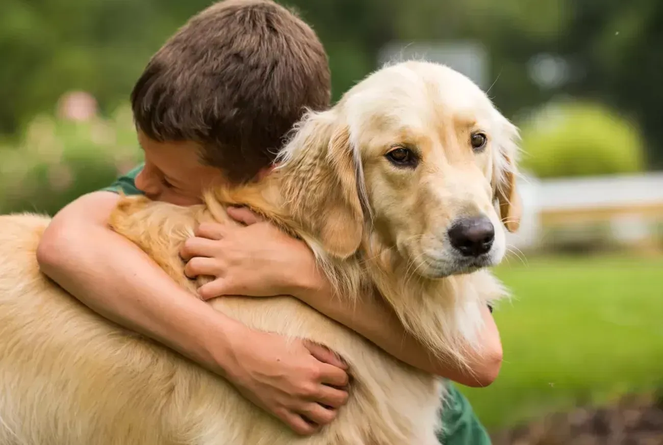 Quero um pet: como convencer seus pais a adotarem um animalzinho