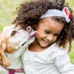 O cachorro é o animal de estimação em maior número no Brasil, seguido por Peixes, Gatos e Aves