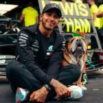 Conheça Roscoe, o adorável Bulldog Inglês de Lewis Hamilton