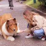 Homem gasta 2 milhões para se transformar em cachorro