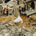 A vida de um animal de estimação na guerra