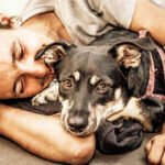 4 de outubro: Dia Mundial dos Animais