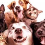 Celebre o Dia Mundial dos Animais em 4 de outubro!