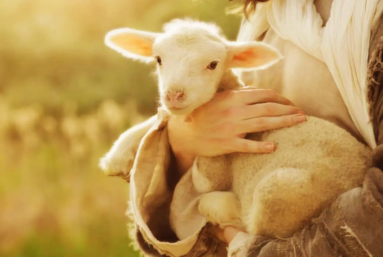 Retrospectiva Adore Pets 2024: Os 10 animais da bíblia mais famosos e seus significados