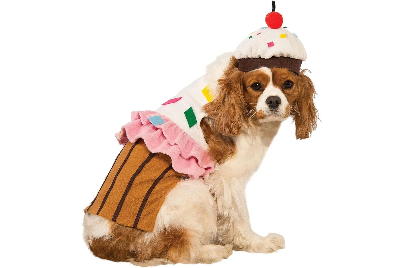 Nomes para cachorros inspirados em comida: Criatividade e fofura