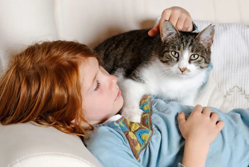 Quero um pet: como convencer seus pais a adotarem um animalzinho