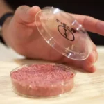 Carne de laboratório para pets: O futuro da alimentação chegou?