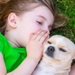 Conversar com seu pet faz bem? Descubra os benefícios!