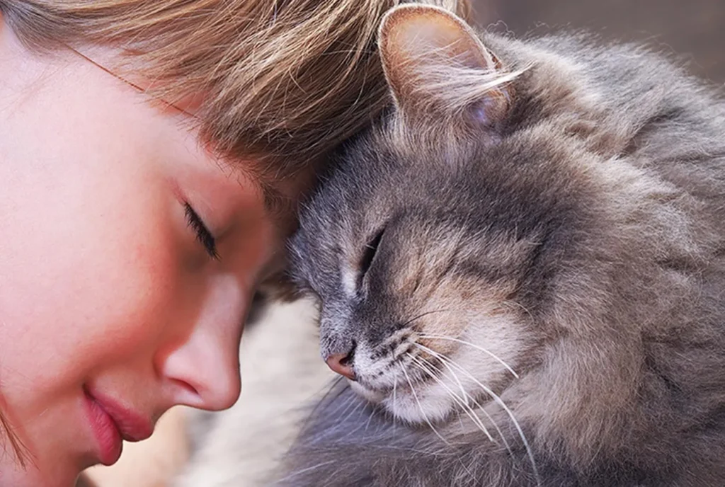 Conversar com seu pet faz bem? Descubra os benefícios!