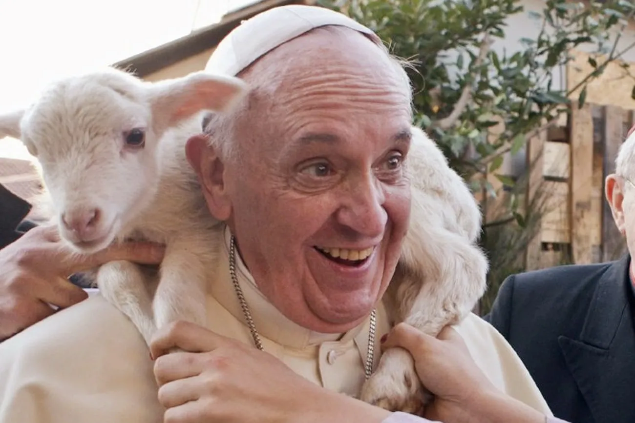 Retrospectiva 2025: Poodle Scooby, Pepe Mujica e Papa Francisco