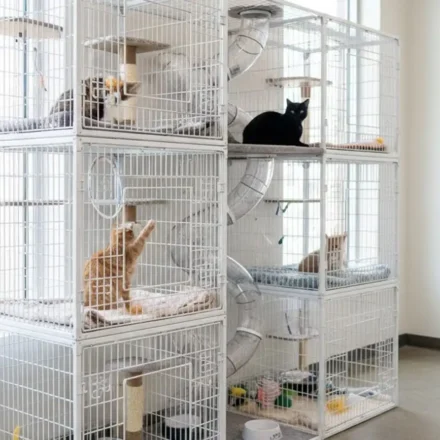 Gatil: o que é e como funciona